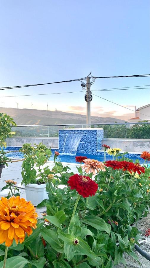 Apartments Hillside Ulcinj Zewnętrze zdjęcie
